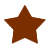 bronze star