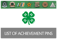 List of Achievement Pins