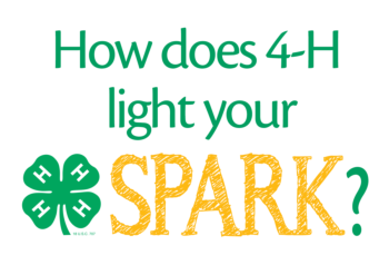 How does 4-H light your spark