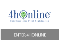 Login page for 4hOnline